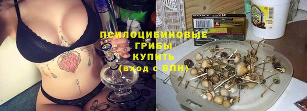 соль ск Иноземцево