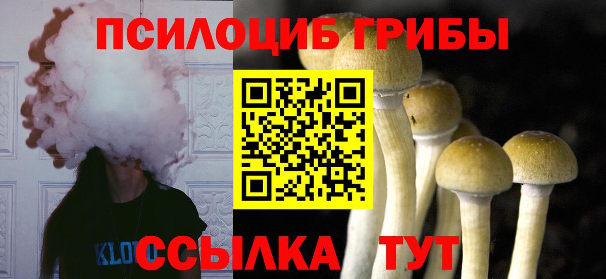 Псилоцибиновые грибы мицелий Великий Новгород