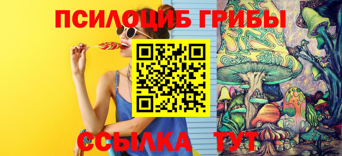 Великий Новгород  Псилоцибиновые грибы Cubensis  Вход с VPN 